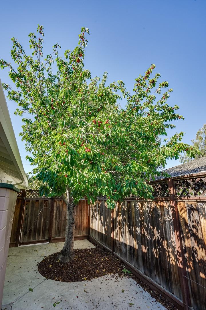 1481 Brookmill Road Los Altos, CA 94024 - Photo 47 of 55 a view of a yard with plants and wooden fence