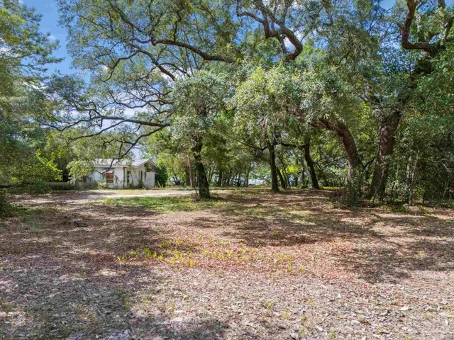 a view of outdoor space with trees