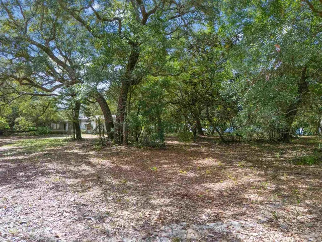 a view of a yard with a tree