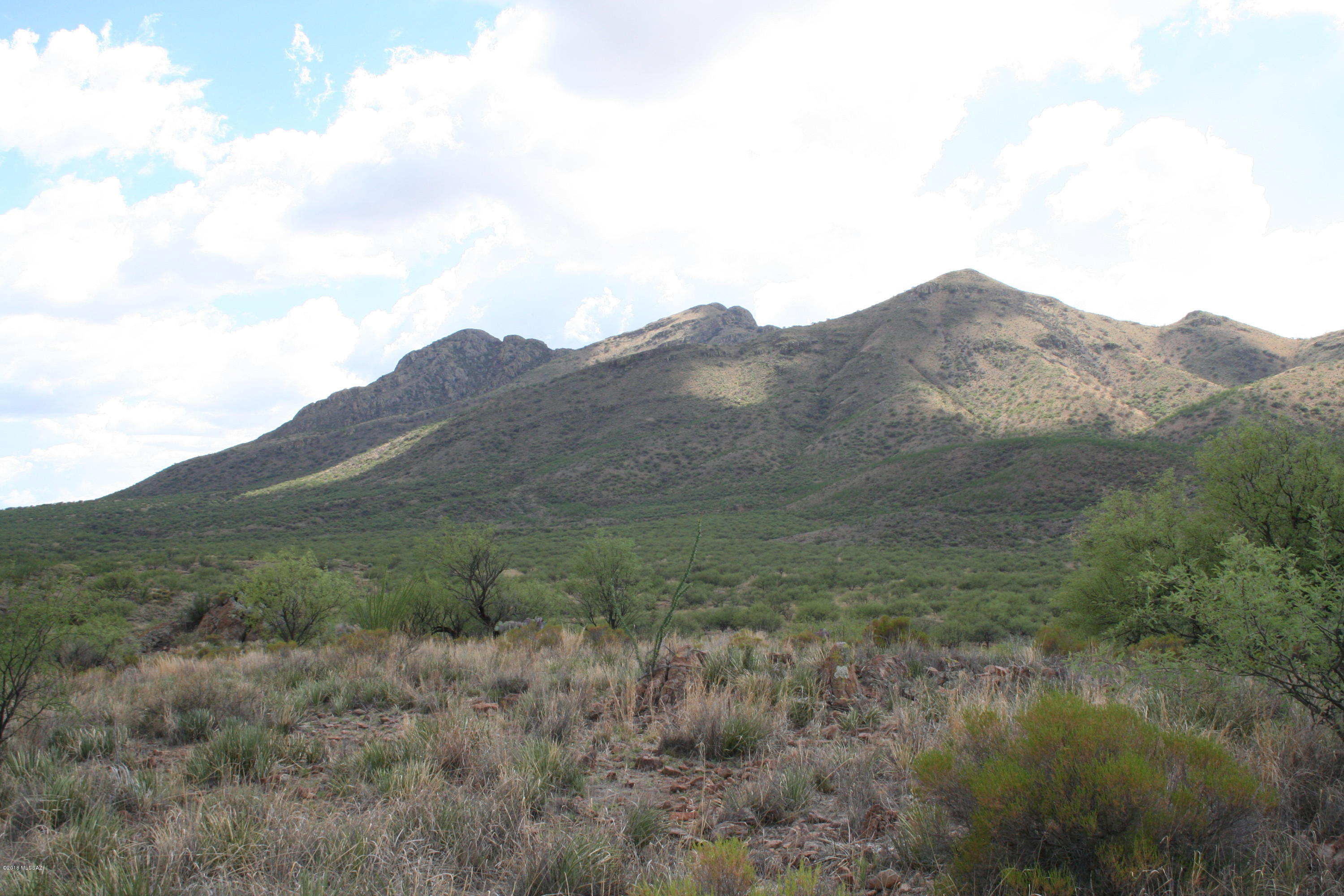 1238 Morning Star Drive, Unit 80 Rio Rico, AZ 85648 - Photo 15 of 21 Gallery Image 15