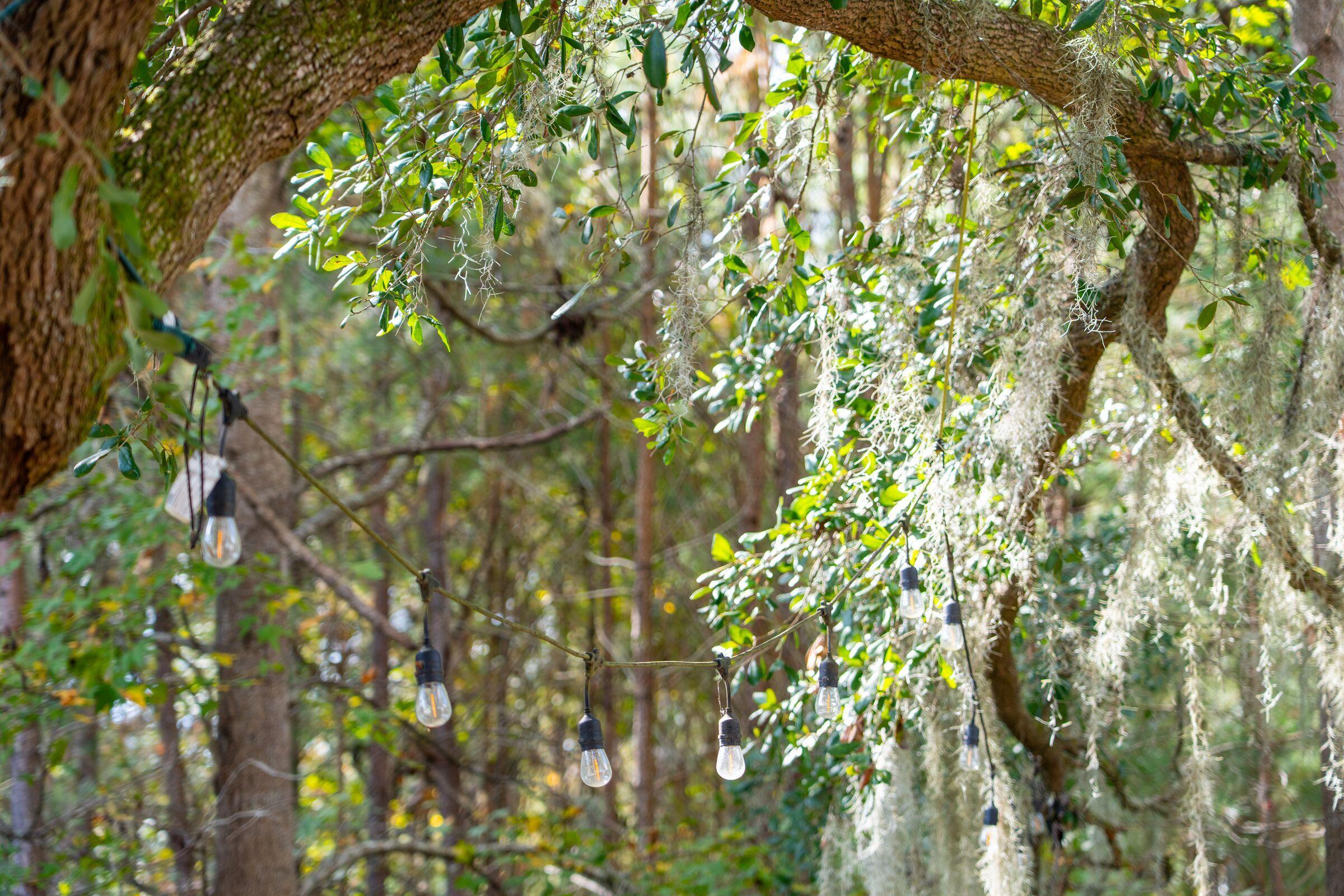 2205 Des Arc Road Johns Island, SC 29455 - Photo 61 of 86 2205DesArcRd-KeenEyeMarketing-073