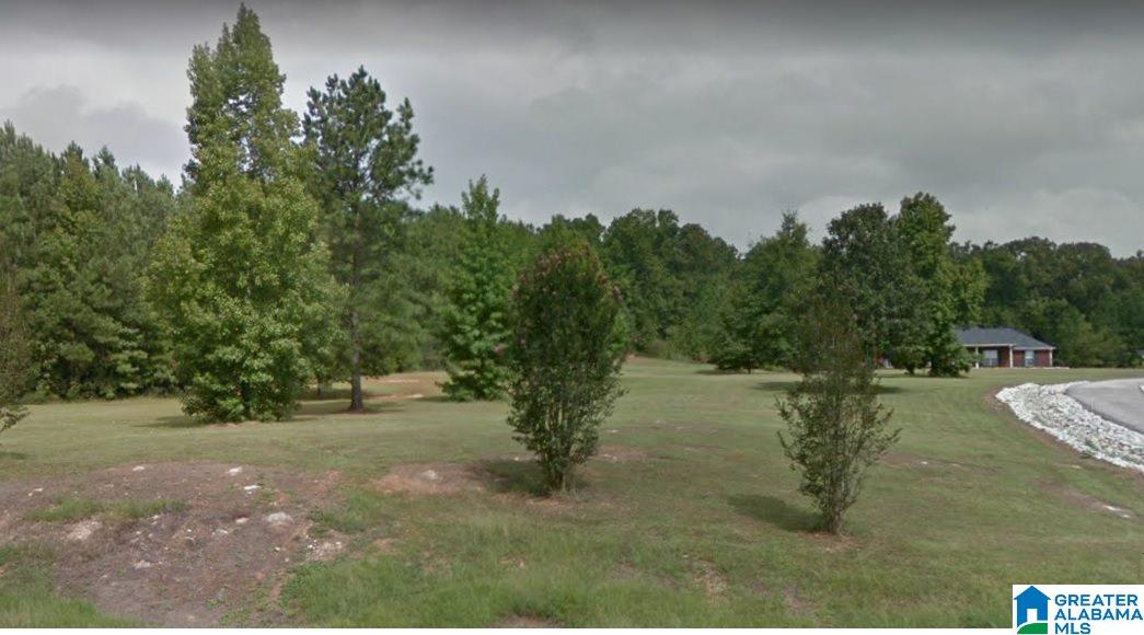 4891 Montevallo Road Centreville, AL 35042 - Photo 32 of 32