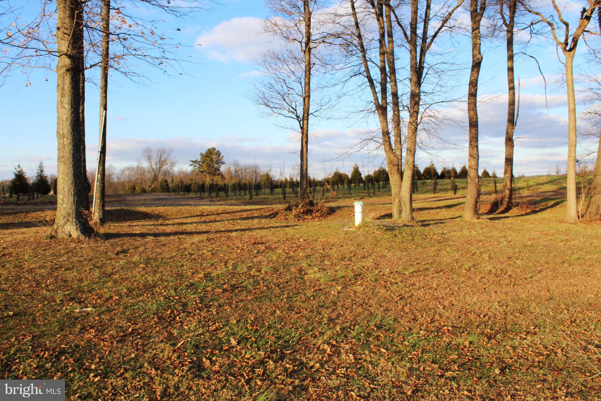 Millers Station Road Manchester, MD 21102 - Photo 2 of 7 View of well and part of the tree farm property.