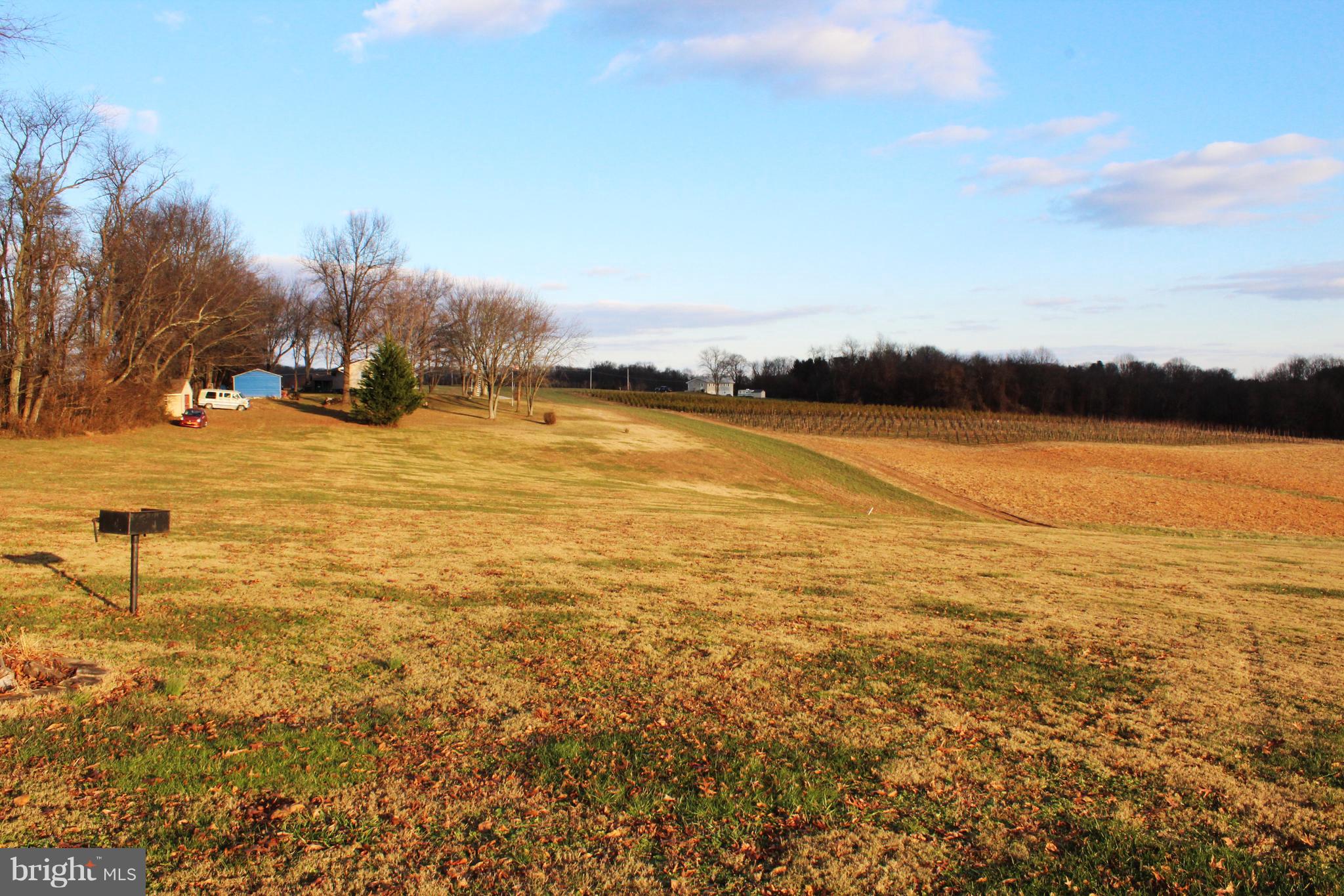 Millers Station Road Manchester, MD 21102 - Photo 4 of 7 View of lot from the back towards the front.