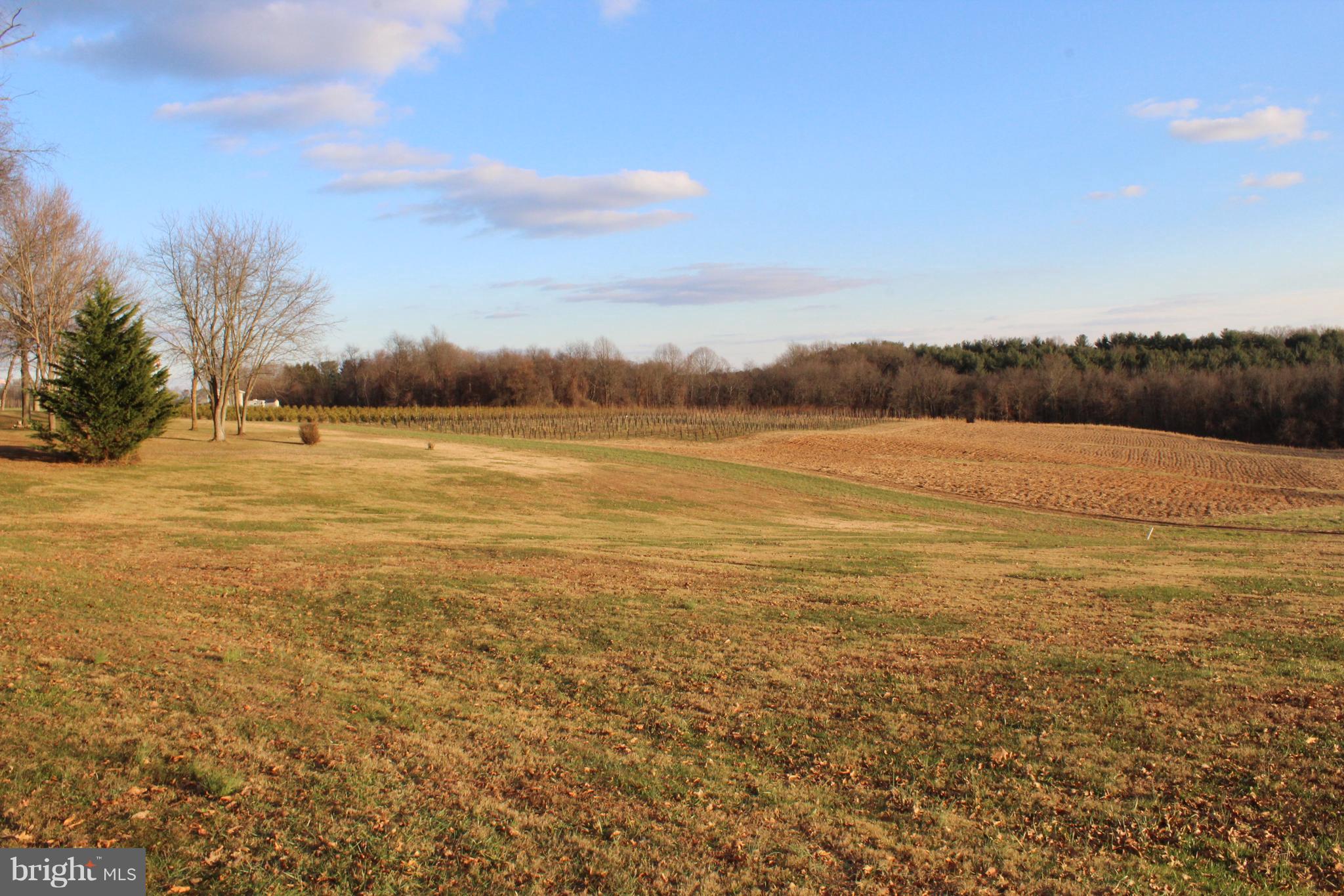 Millers Station Road Manchester, MD 21102 - Photo 5 of 7 Lot & other side of tree property 1