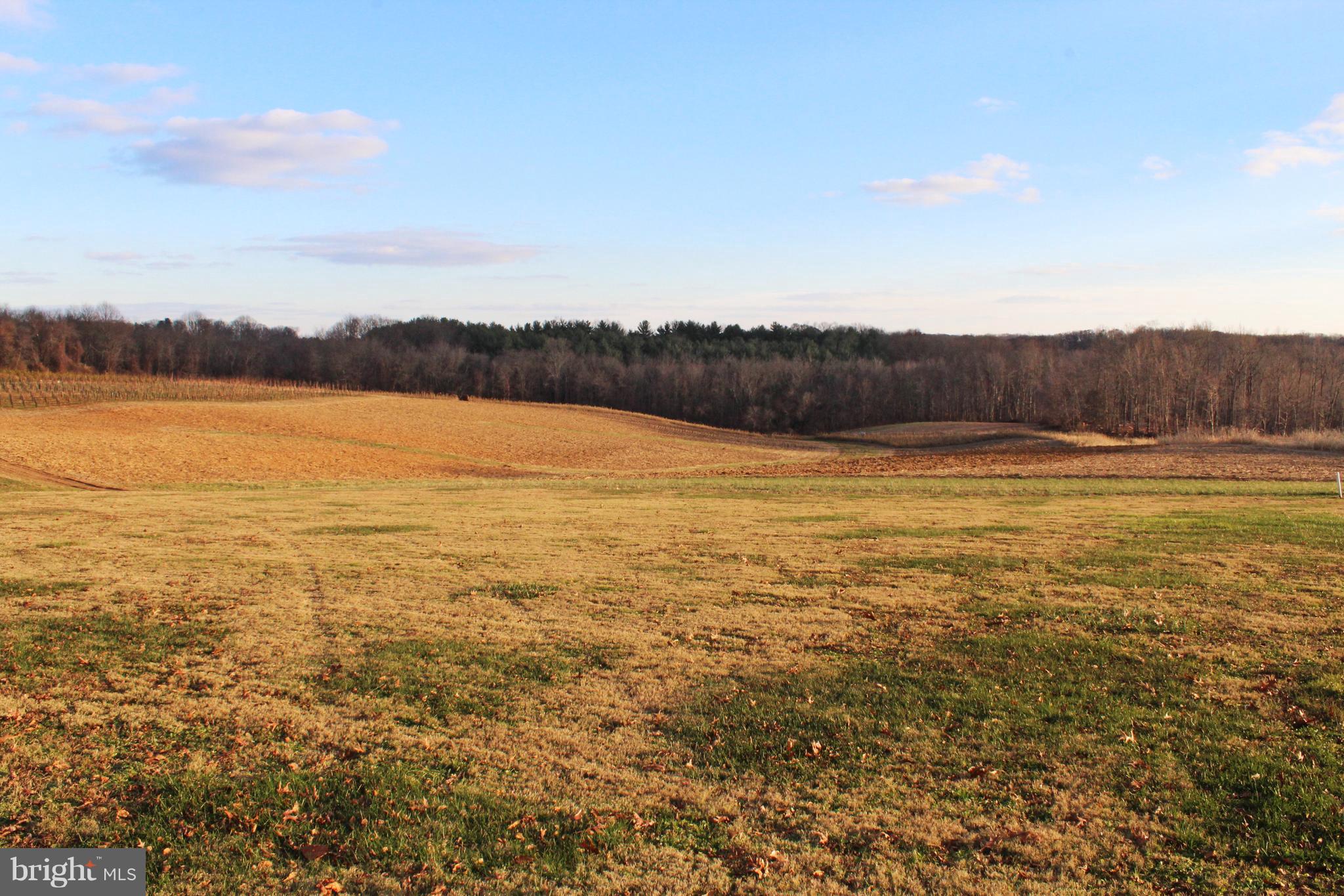 Millers Station Road Manchester, MD 21102 - Photo 6 of 7 Lot & other side of tree property 2