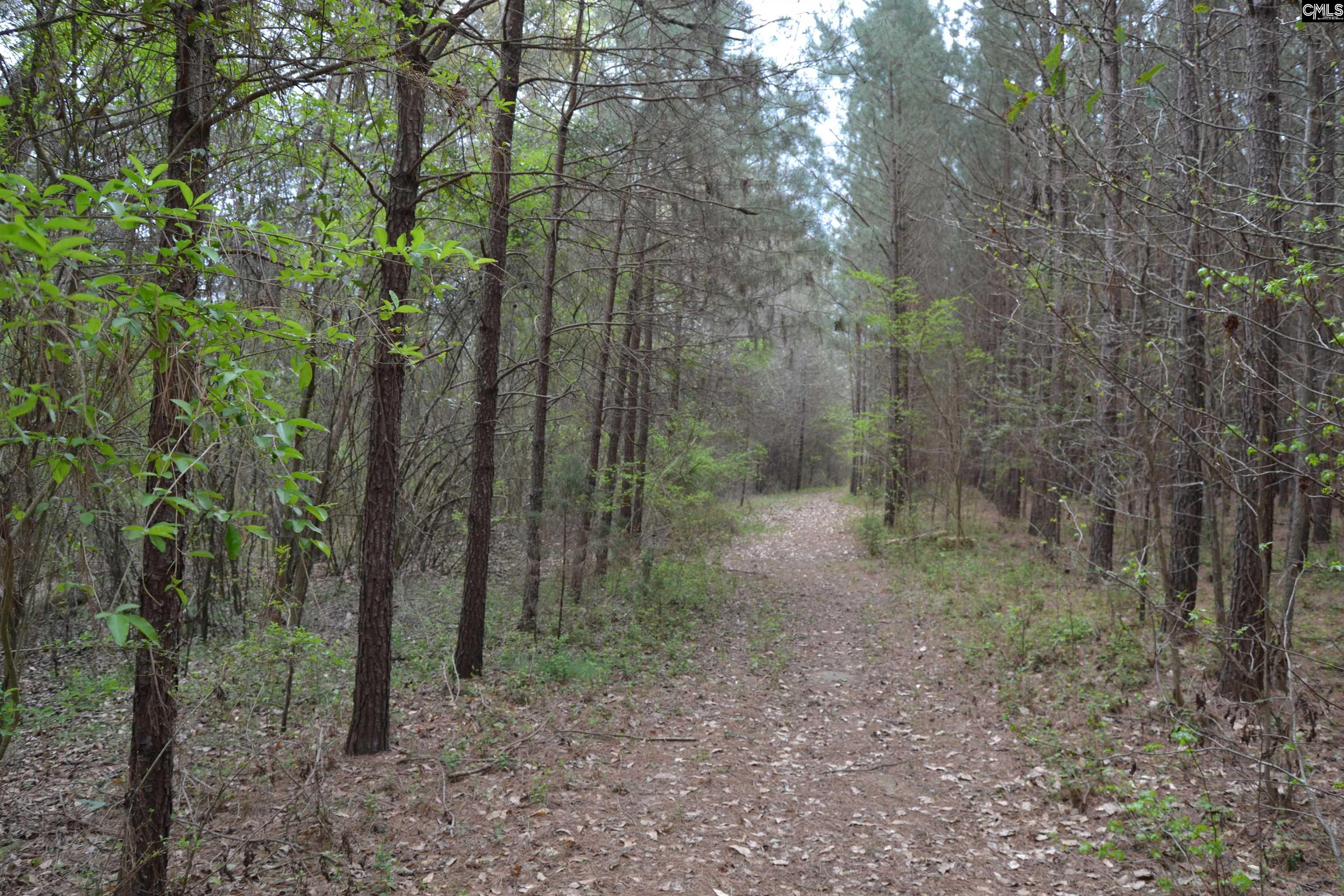 1309 Farming Creek Road Irmo, SC 29063 - Photo 3 of 8