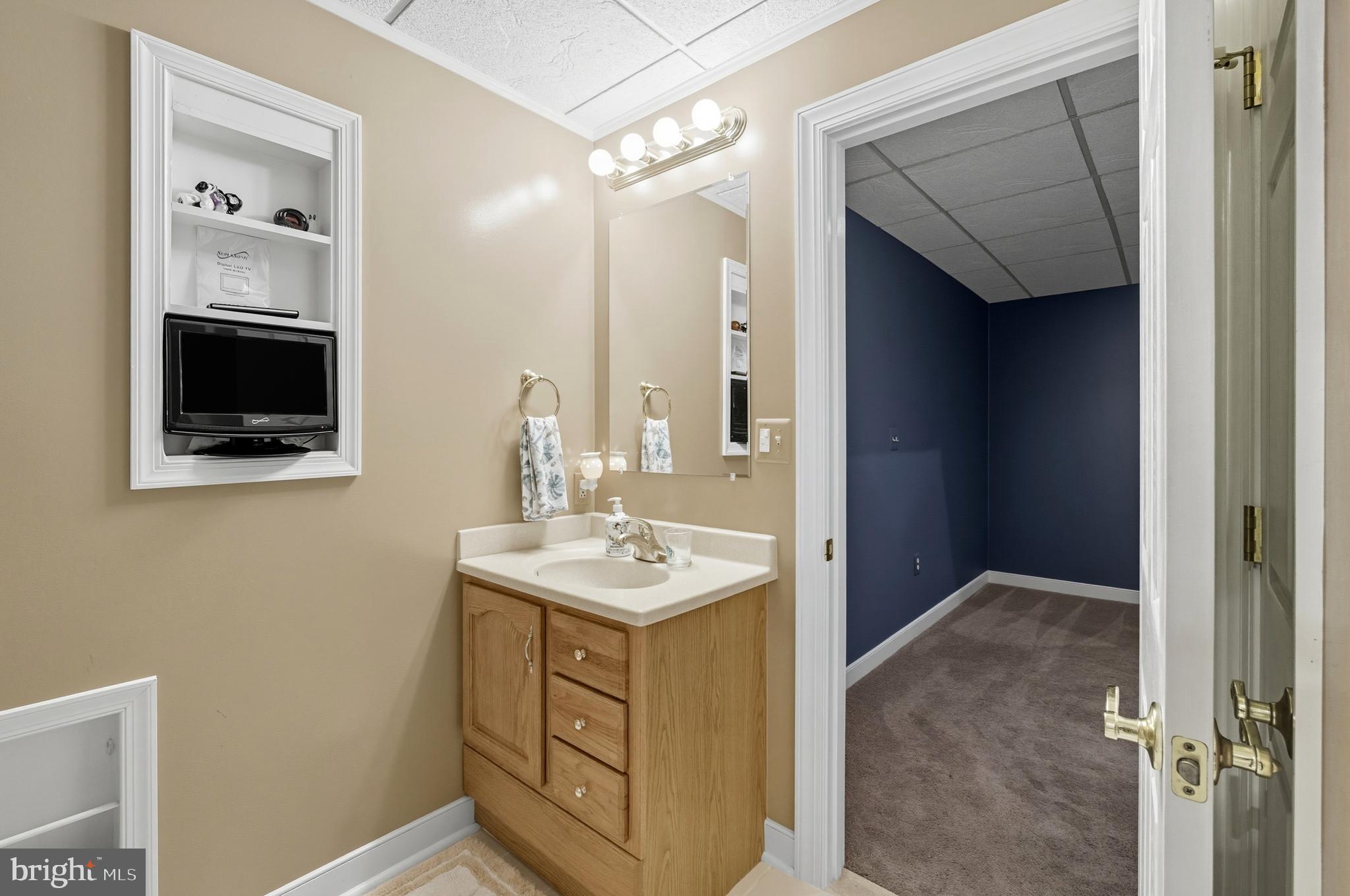 2605 Colpepper Road Abingdon, MD 21009 - Photo 67 of 95 a bathroom with a sink a mirror and a shower