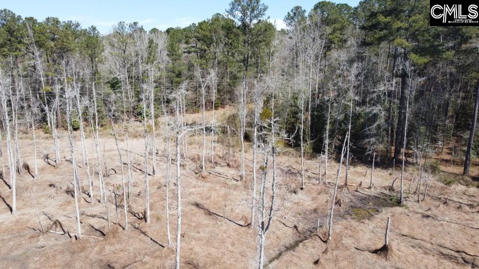 1672 Dixired Road Leesville, SC 29070 - Photo 29 of 67