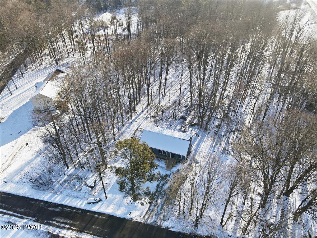 10 Swingle Road Moscow, PA 18444 - Photo 50 of 60 a picture of tree