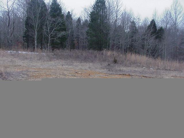 1 Tucker Road Lafayette, TN 37083 - Photo 2 of 5 a view of a dry yard with trees