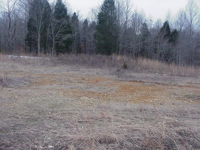 1 Tucker Road Lafayette, TN 37083 - Photo 3 of 5 a view of a dry yard with trees