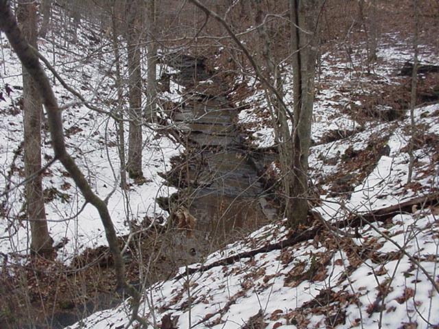 1 Tucker Road Lafayette, TN 37083 - Photo 4 of 5 a picture of tree
