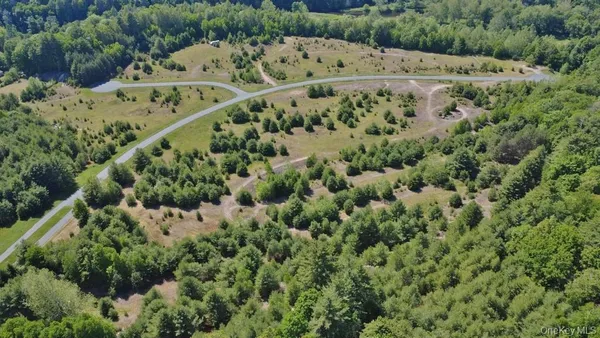 $95,000 | Marsh Road, Fallsburg, NY 12733