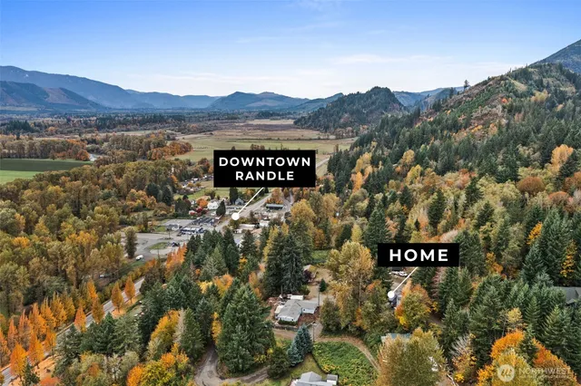 an aerial view of a house with a yard and a large tree
