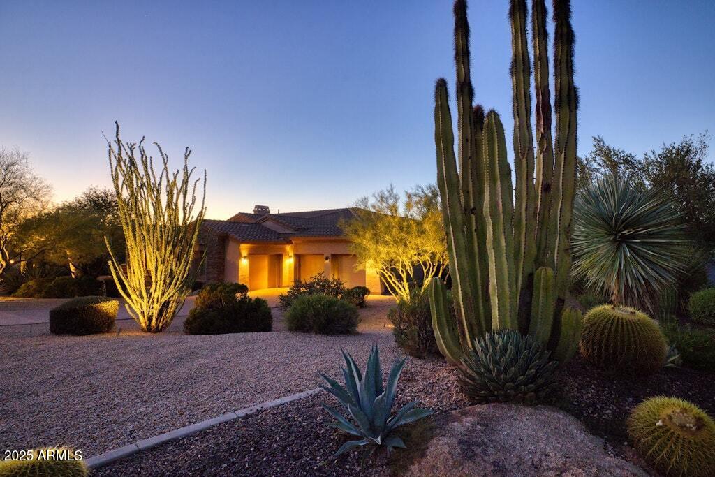 9698 East Vantage Point Road Scottsdale, AZ 85262 - Photo 10 of 74 Natural Front Yard Vegitation