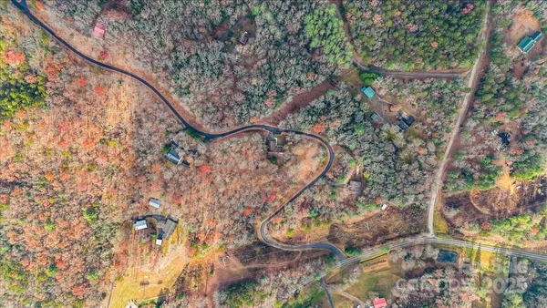 a view of a yard with plants and tree