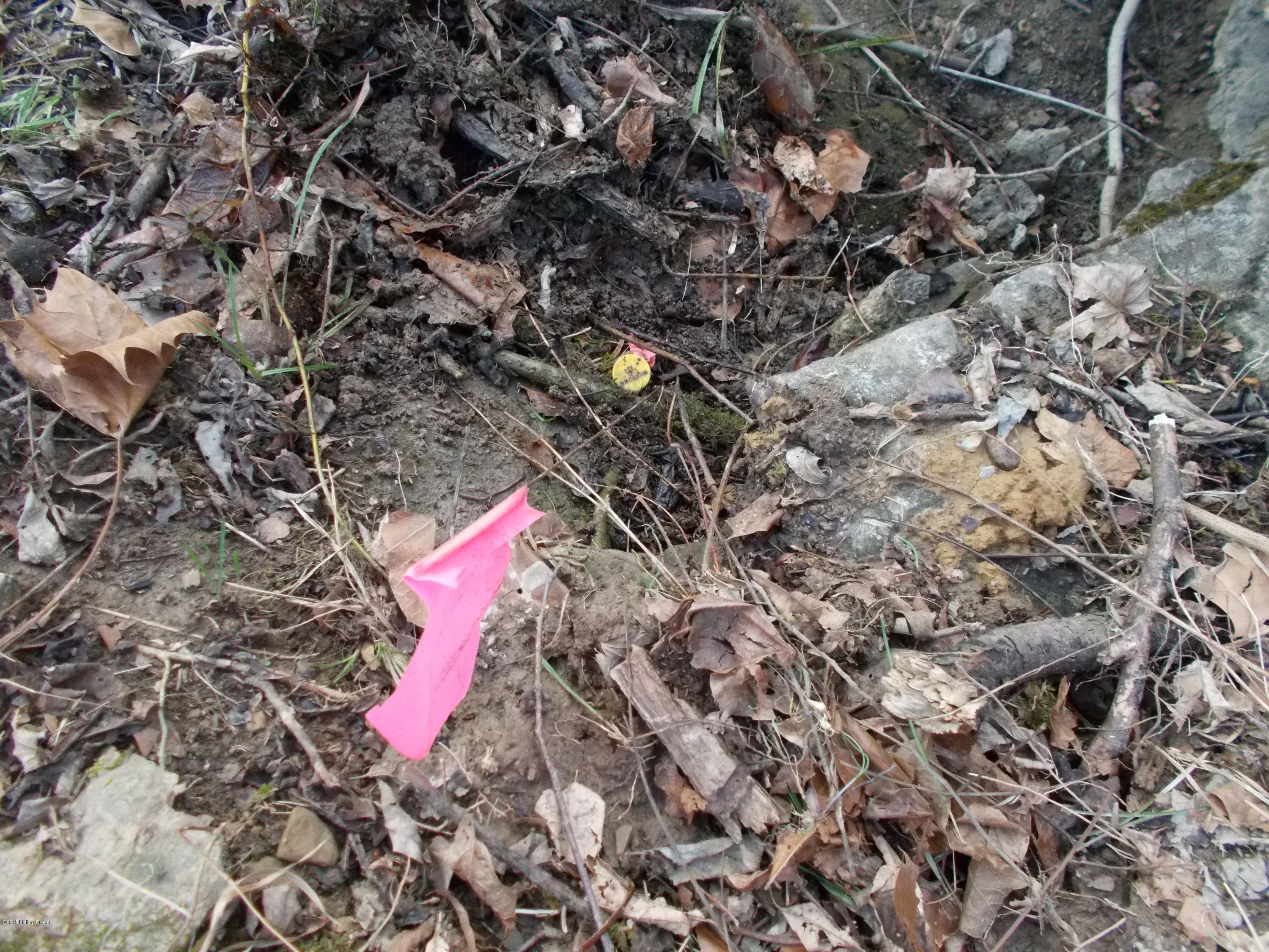 2 A Ditto Road Waddy, KY 40076 - Photo 21 of 28 DSCN9811