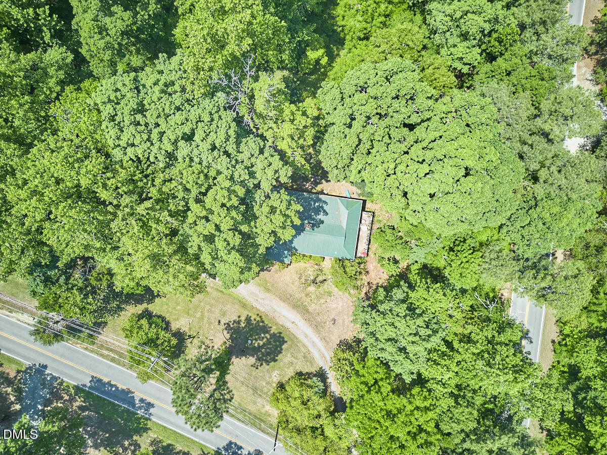 4204 Kerley Road Durham, NC 27705 - Photo 1 of 34 a view of a yard with plants and a fountain