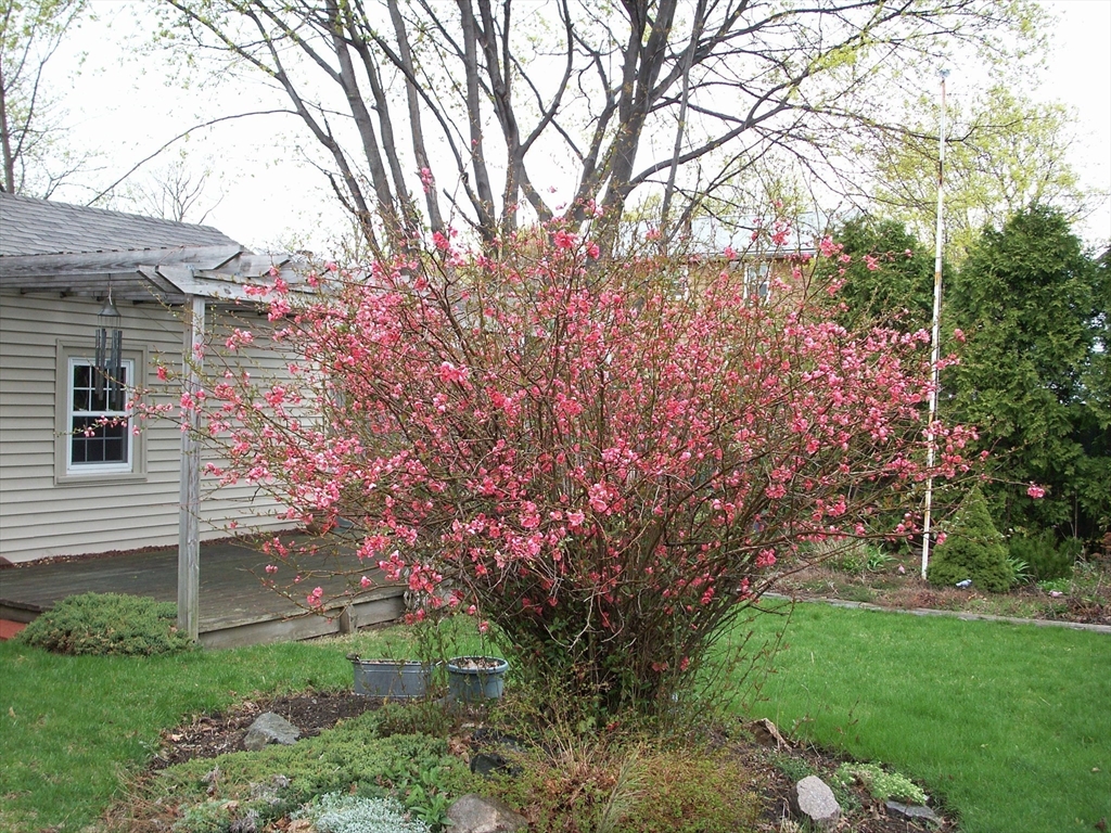 38 Longview Way Peabody, MA 01960 - Photo 27 of 42 a backyard of a house with lots of green space