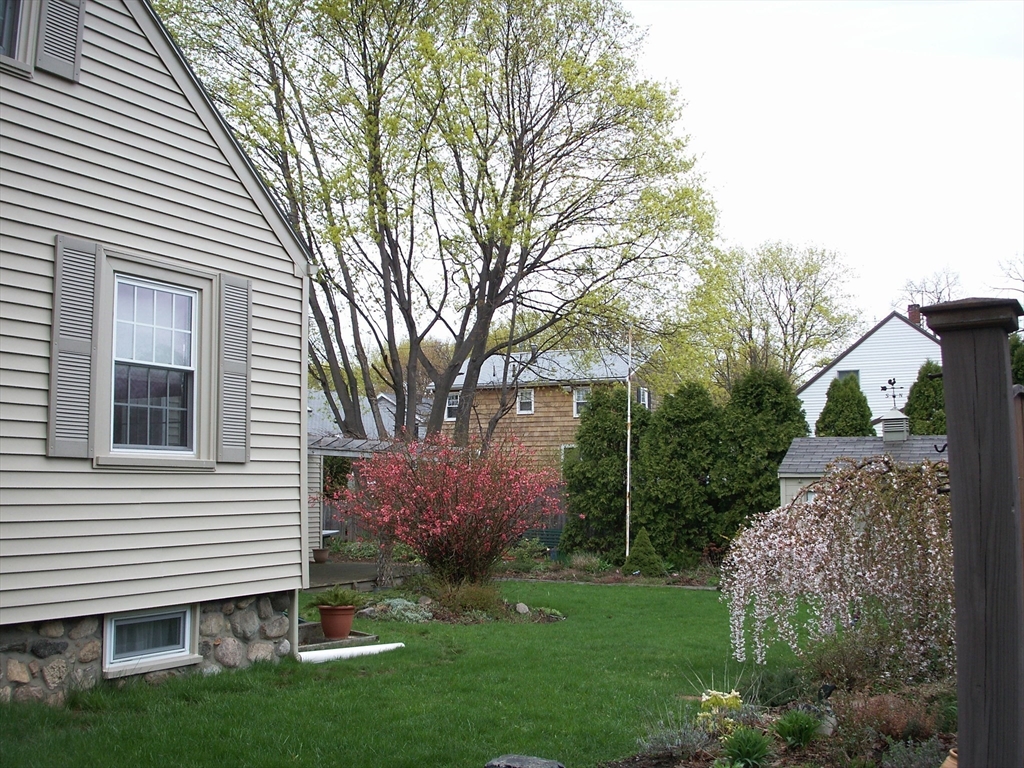 38 Longview Way Peabody, MA 01960 - Photo 28 of 42 a view of a backyard with plants and large tree
