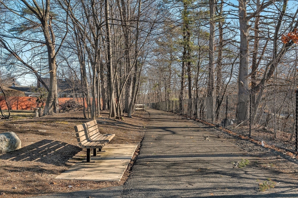 38 Longview Way Peabody, MA 01960 - Photo 39 of 42 a view of a yard with large trees