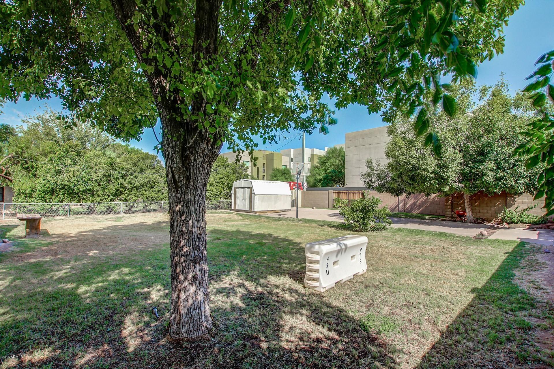 330 East 14th Street Tempe, AZ 85281 - Photo 20 of 26 a view of a yard with plants and a large tree