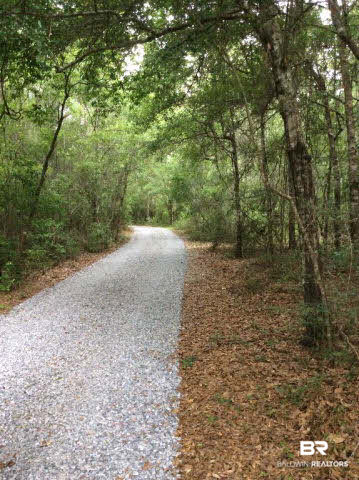 22056 McPhillips Road Loxley, AL 36551 - Photo 11 of 11