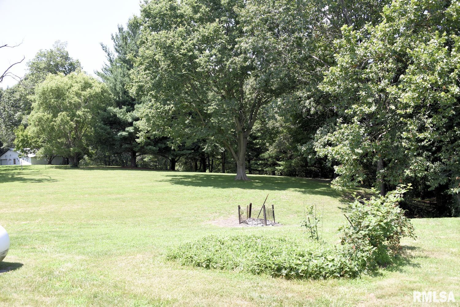 8155 Old Jacksonville Road Pleasant Plains, IL 62677 - Photo 26 of 26