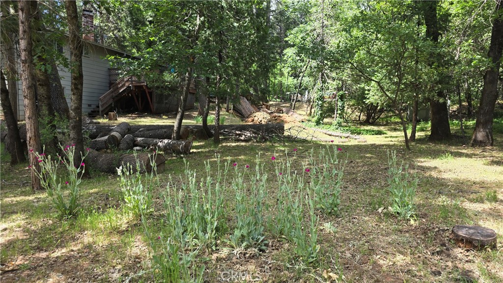 6286 Columbine Road Magalia, CA 95954 - Photo 28 of 33 Seasonal Creek-Side Yard