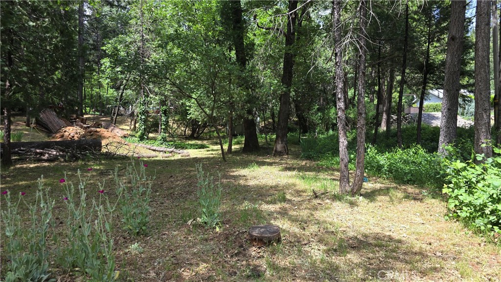 6286 Columbine Road Magalia, CA 95954 - Photo 29 of 33 Side Yard