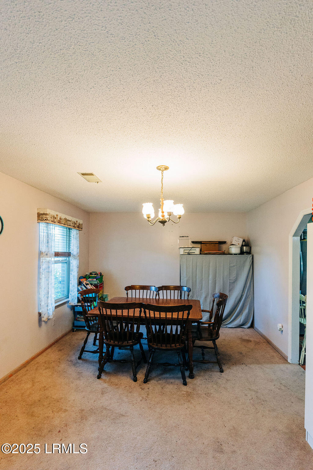 240 Kerrison Street Varnville, SC 29944 - Photo 17 of 60 DSC09267