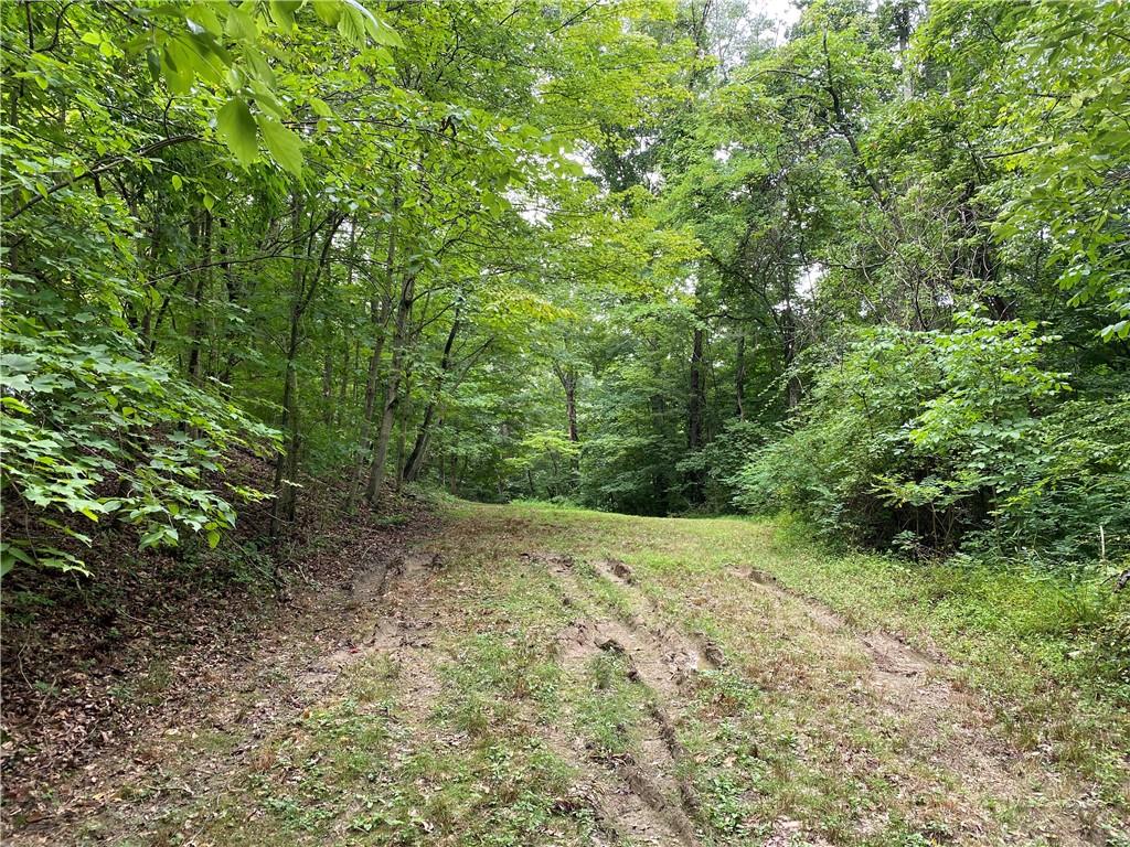 75 Walls Road Nashville, IN 47448 - Photo 39 of 41 Gallery Image 39
