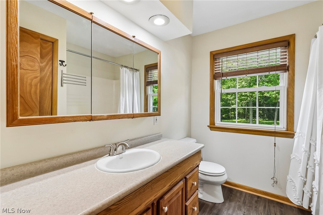 1638 South Cleveland Massillon Road Akron, OH 44321 - Photo 20 of 37 Bathroom featuring a wood-finish vanity with an integrated sink and brushed nickel faucet, a large mirrored medicine cabinet, a window and LVT flooring