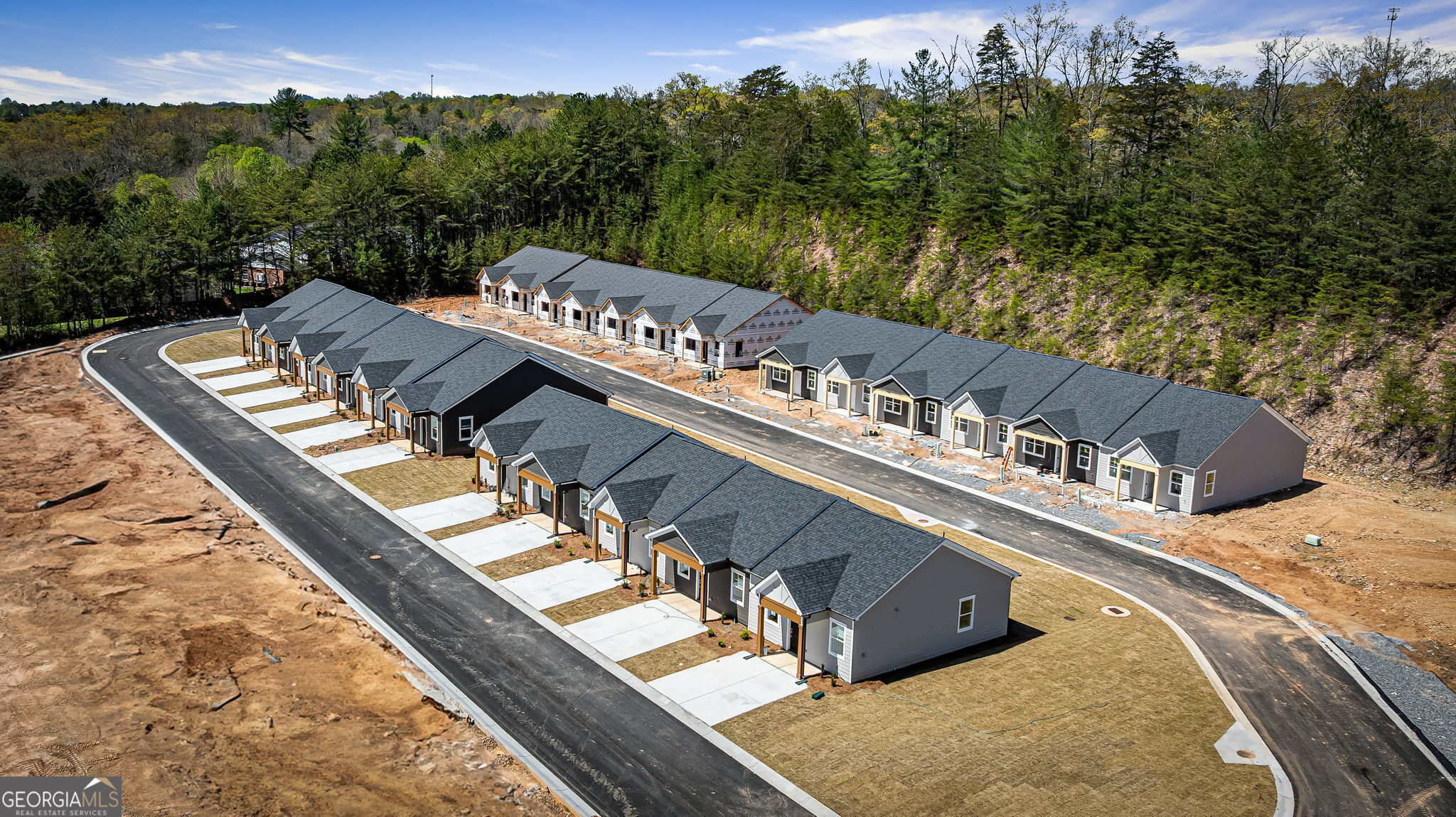 33 Grove Loop, Unit 33 Blue Ridge, GA 30513 - Photo 3 of 17