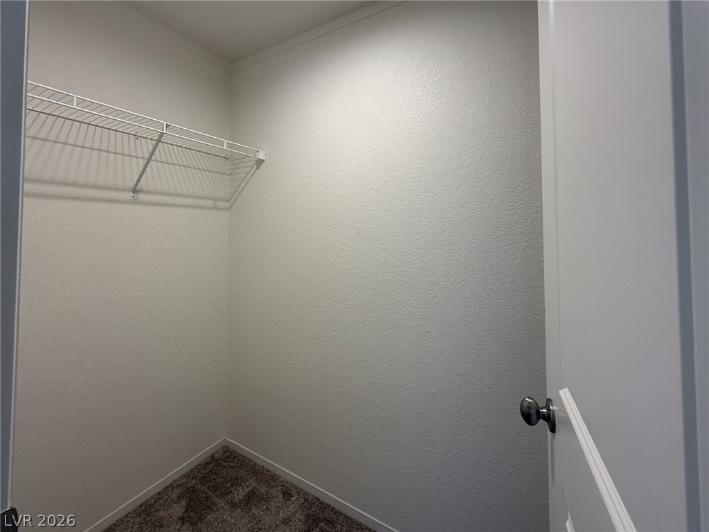 464 Box Canyon Road Alamo, NV 89001 - Photo 38 of 48 A spacious walk-in closet features plush carpeting and integrated wire shelving.