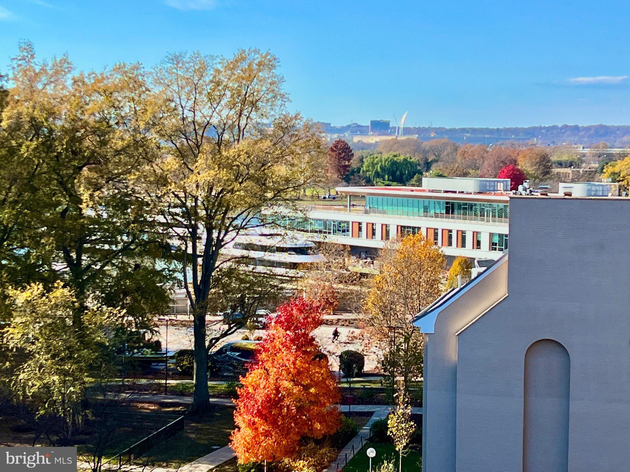 429 N Street Southwest, Unit S510 Washington, DC 20024 - Photo 26 of 45 a balcony with tall trees