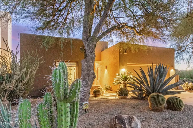 a view of backyard with tub and potted plants