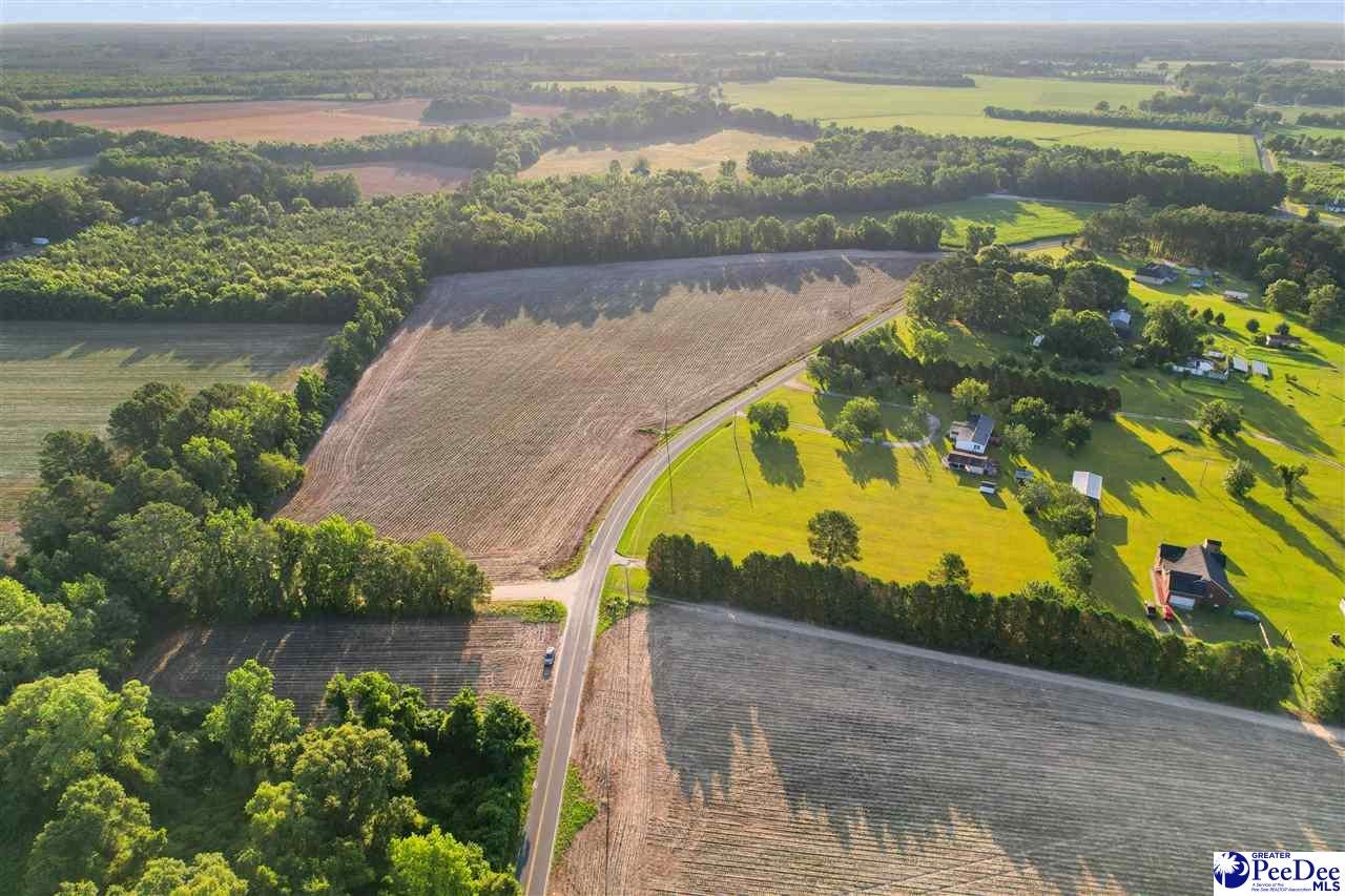 Lot 1-tbd Windham Town Road Lamar, SC 29069 - Photo 2 of 12 Gallery Image 2