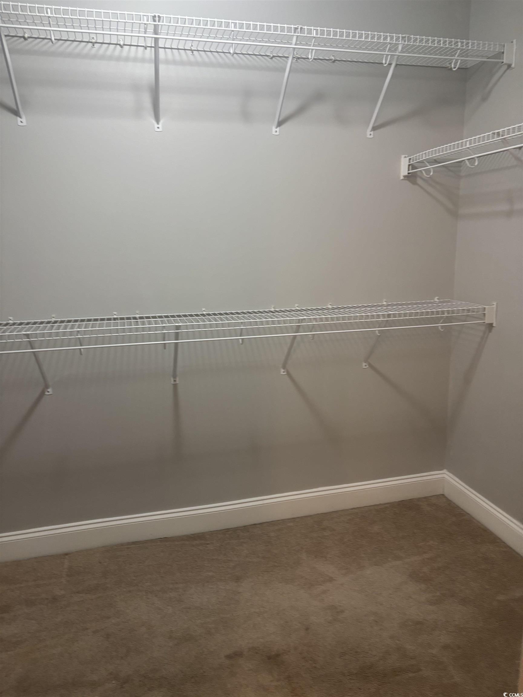733 Rambler Court Myrtle Beach, SC 29588 - Photo 9 of 10 Walk in closet with light carpet
