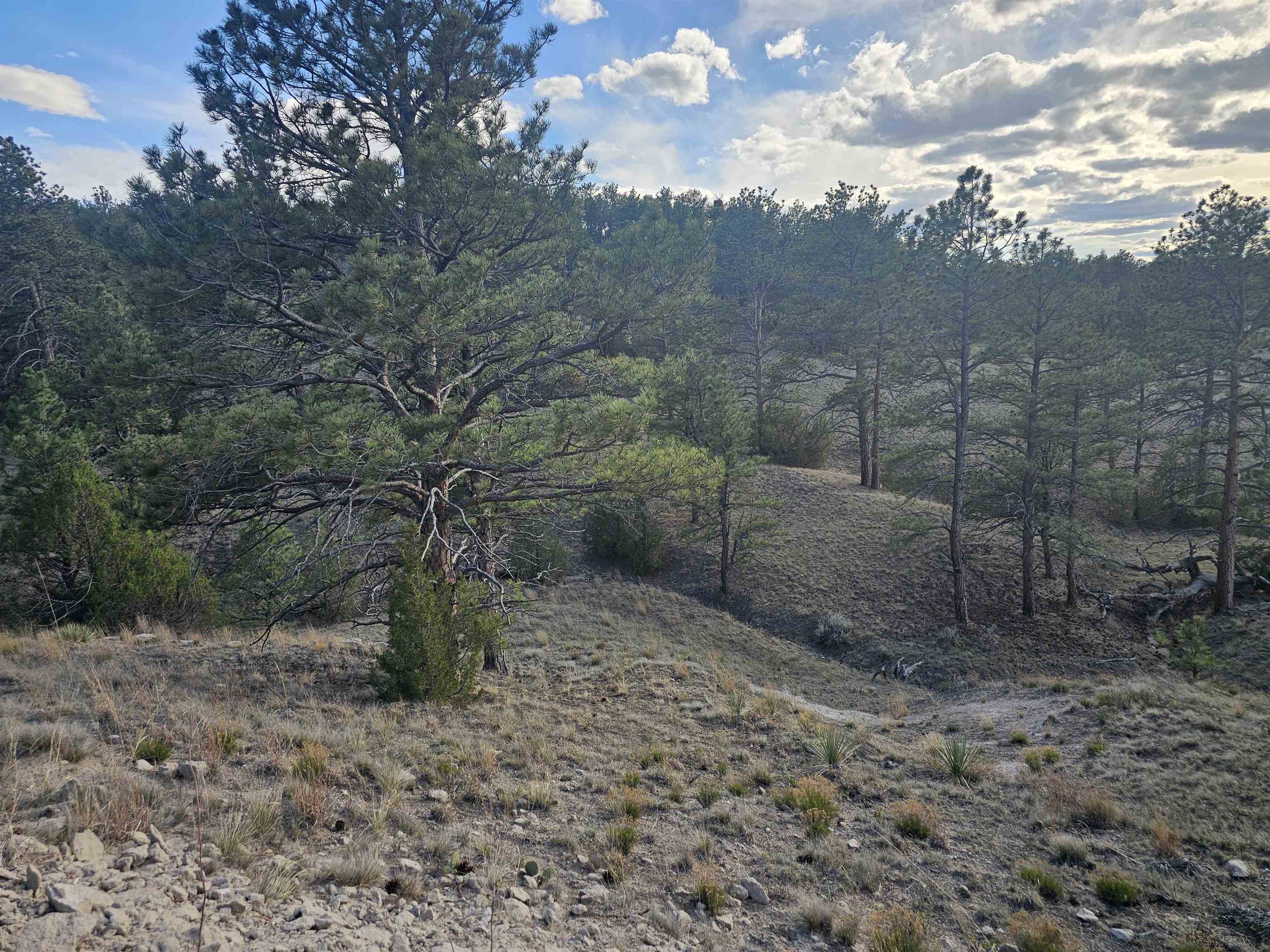52 Wendover Road Guernsey, WY 82214 - Photo 8 of 42