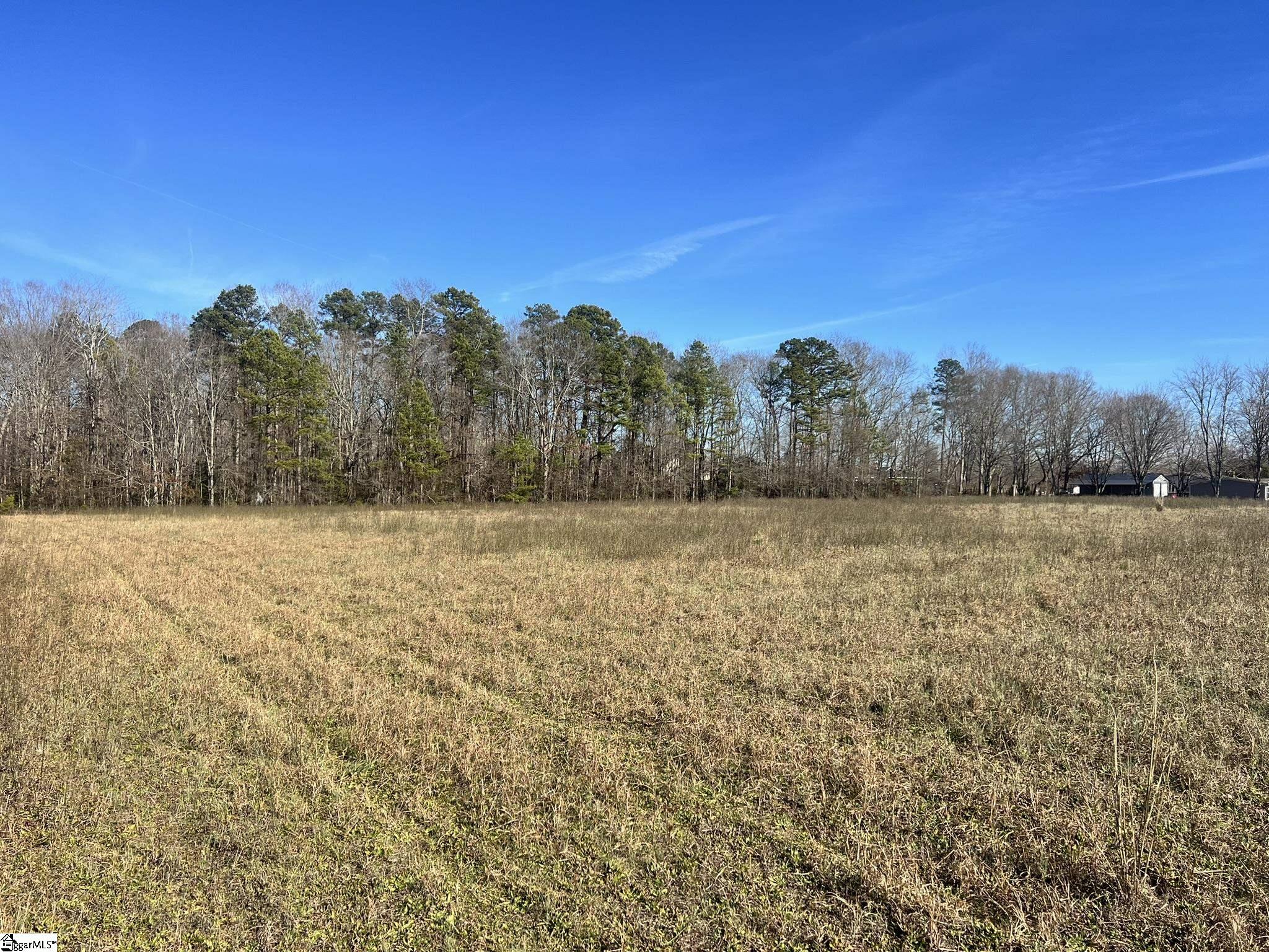 9901 Augusta Road Pelzer, SC 29669 - Photo 2 of 14