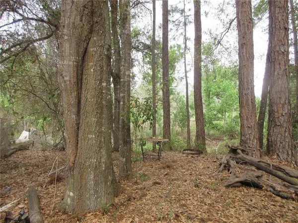a view of a park