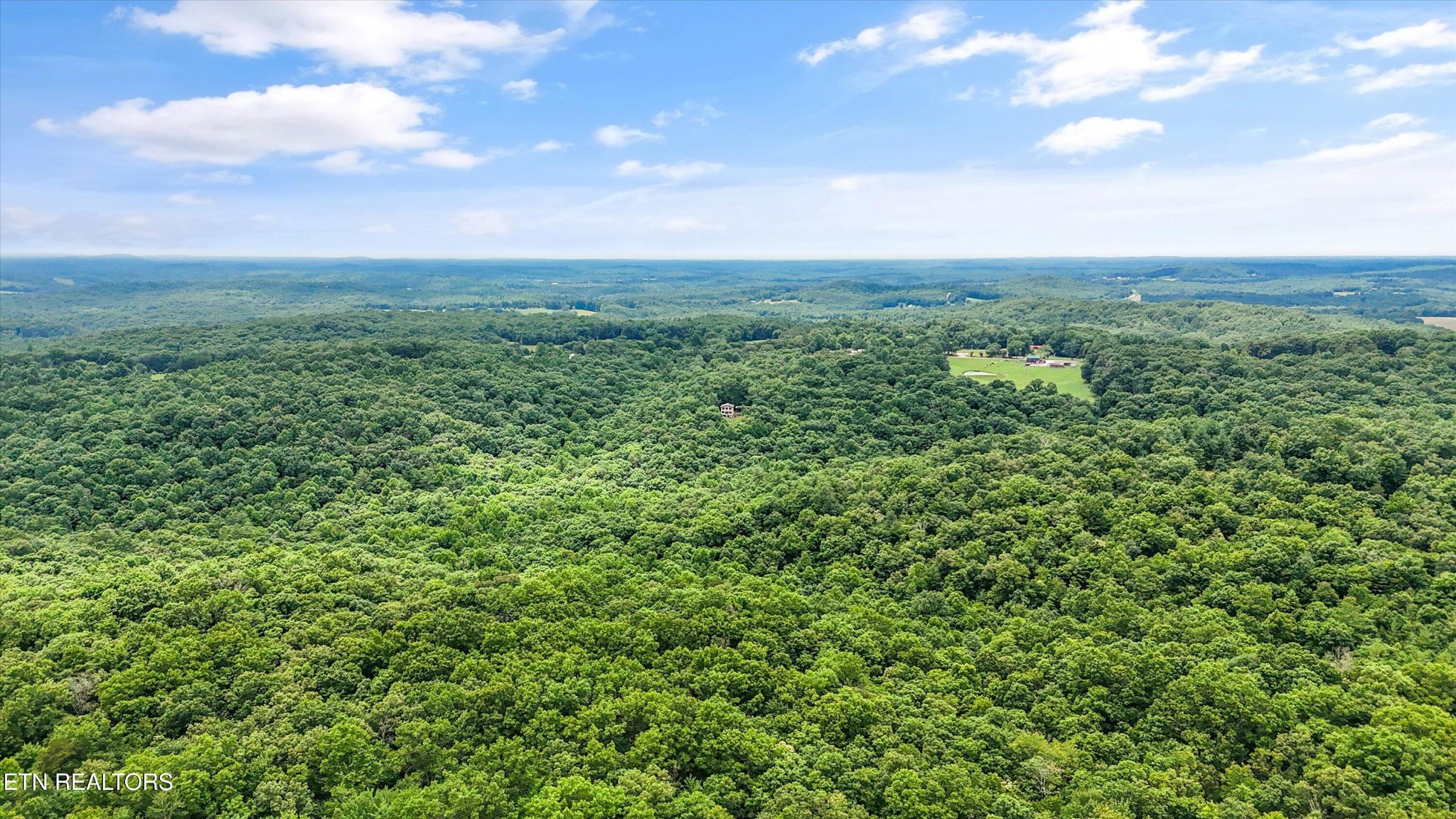 146 Harkle Road Lancing, TN 37770 - Photo 28 of 28
