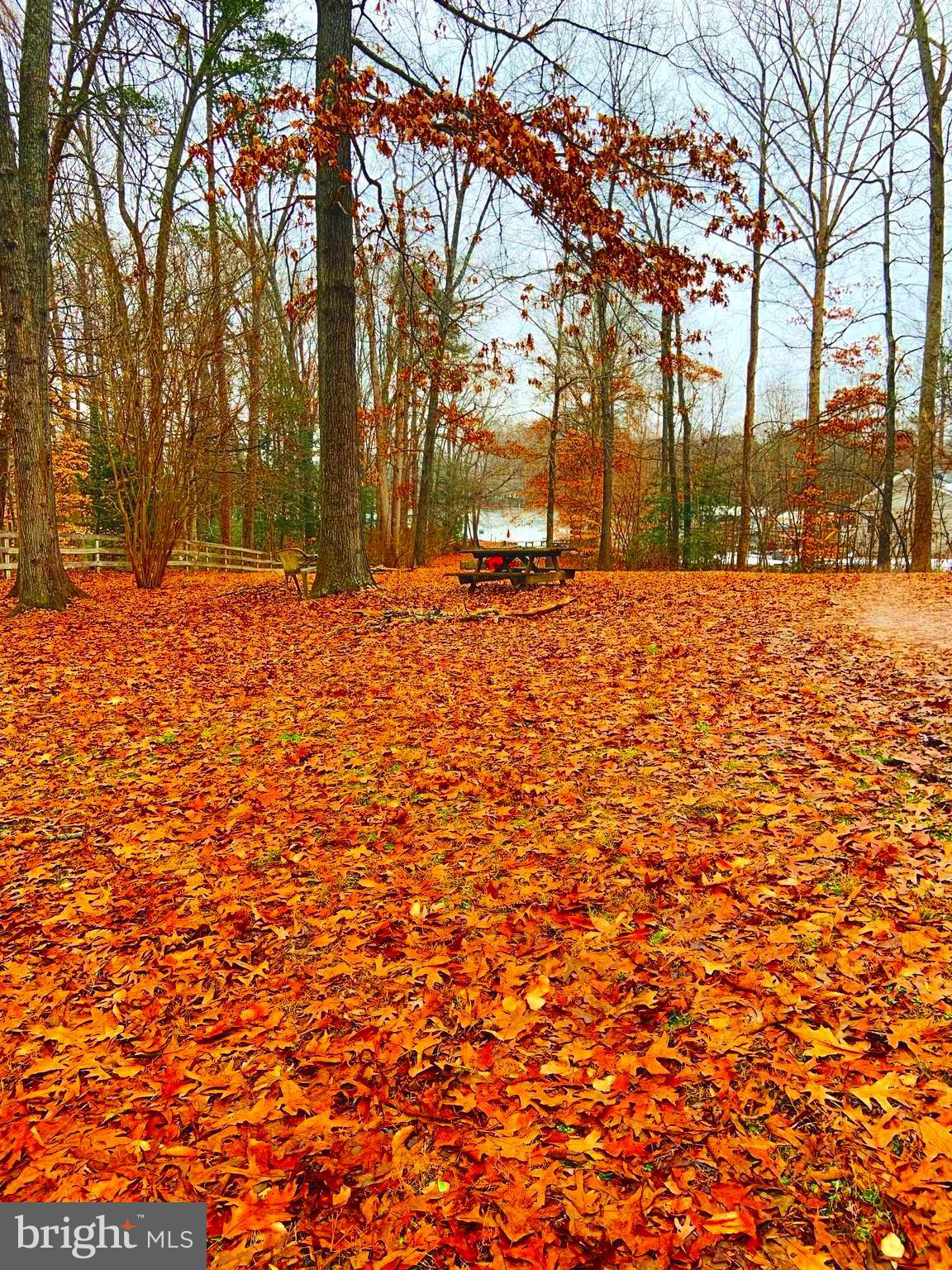 168 Barbara Road Mineral, VA 23117 - Photo 15 of 25 Gallery Image 15