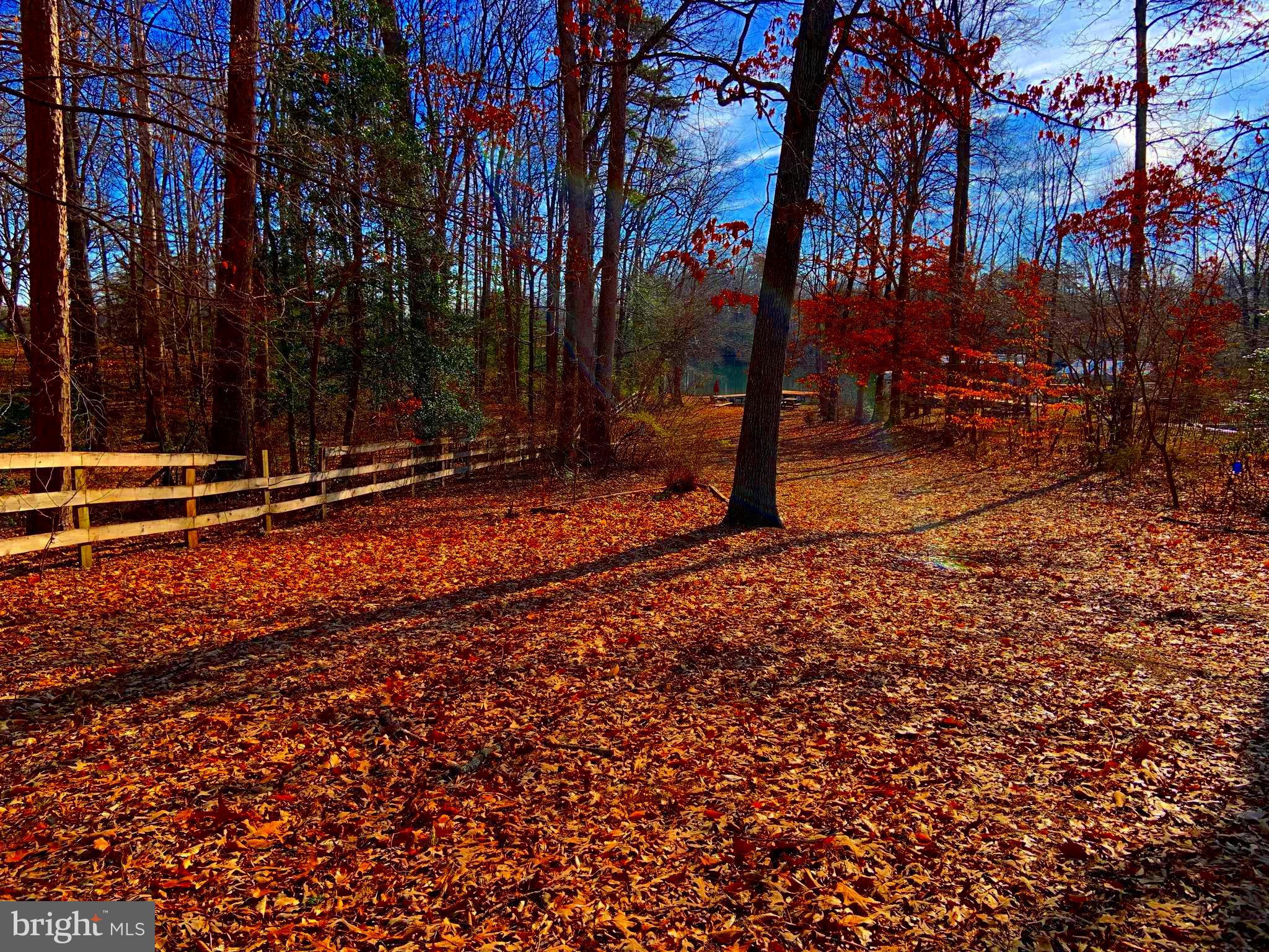 168 Barbara Road Mineral, VA 23117 - Photo 20 of 25 Looking towards the waterfront