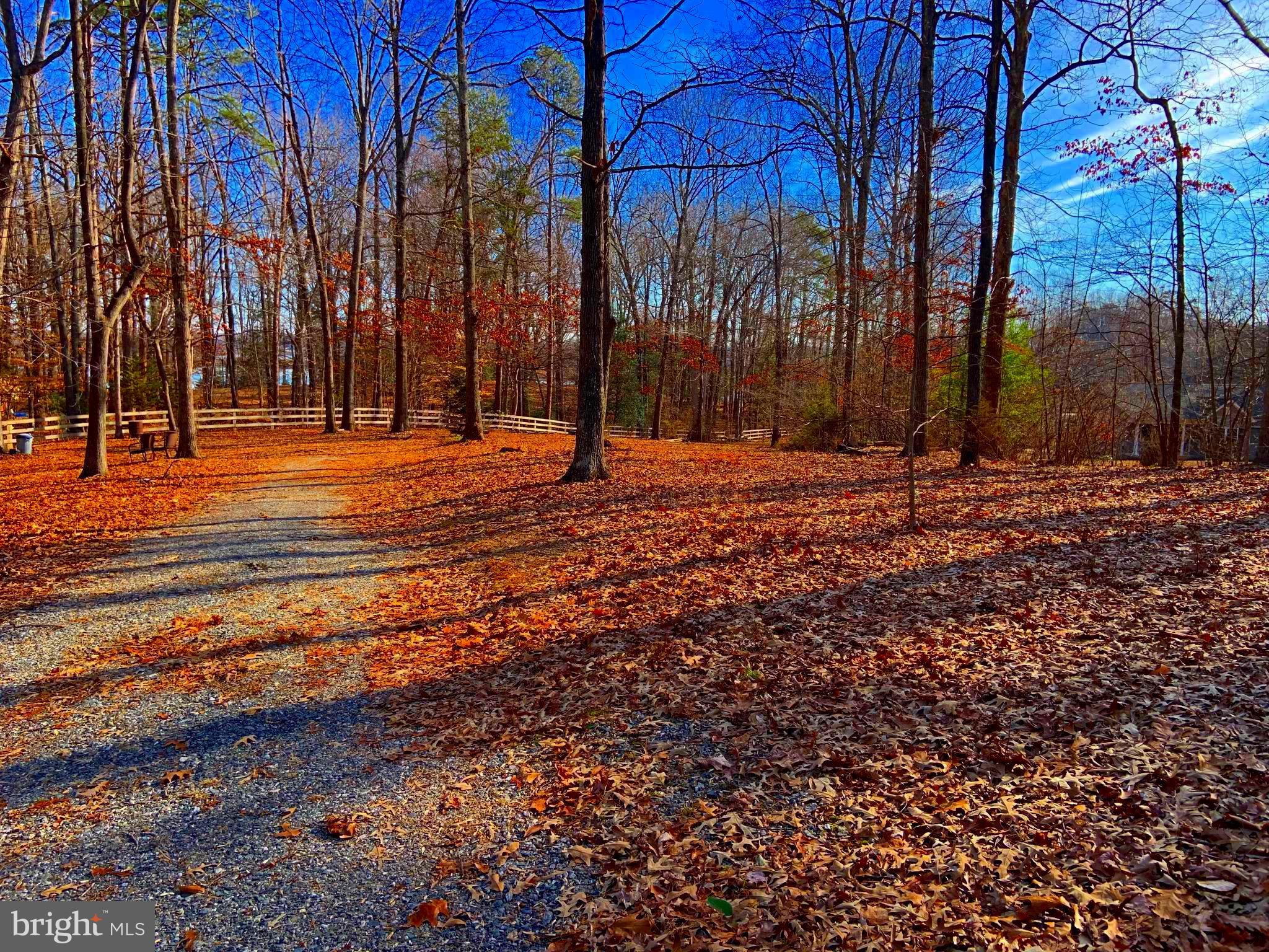 168 Barbara Road Mineral, VA 23117 - Photo 22 of 25 Gravel driveway