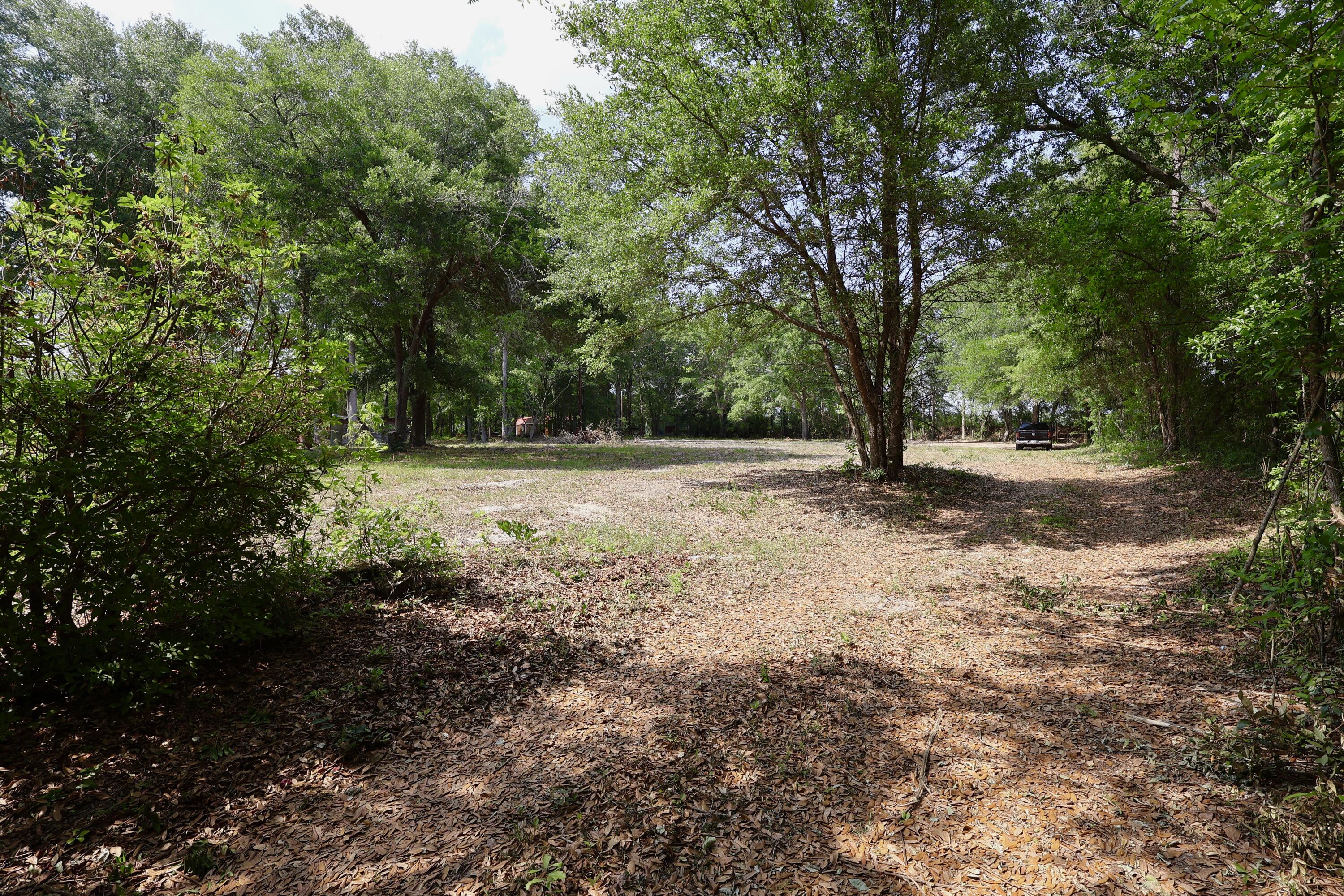 0 Mill Pond Road Dorchester, SC 29437 - Photo 11 of 12
