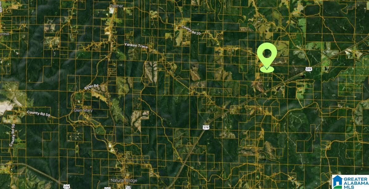 20 County Road Haleyville, AL 35565 - Photo 2 of 17