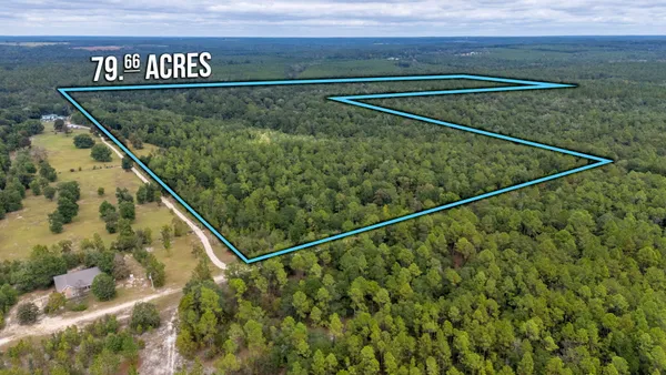 $524,683 | 79-acres Bucking Up Road, Laurel Hill, FL 32567